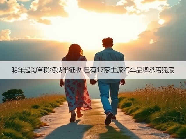 明年起购置税将减半征收 已有17家主流汽车品牌承诺兜底(图1) 明年起购置税将减半征收 已有17家主流汽车品牌承诺兜底(图1)