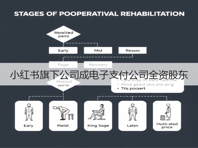 小红书旗下公司成电子支付公司全资股东(图2) 小红书旗下公司成电子支付公司全资股东(图2)