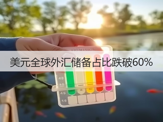 美元全球外汇储备占比跌破60%(图1)