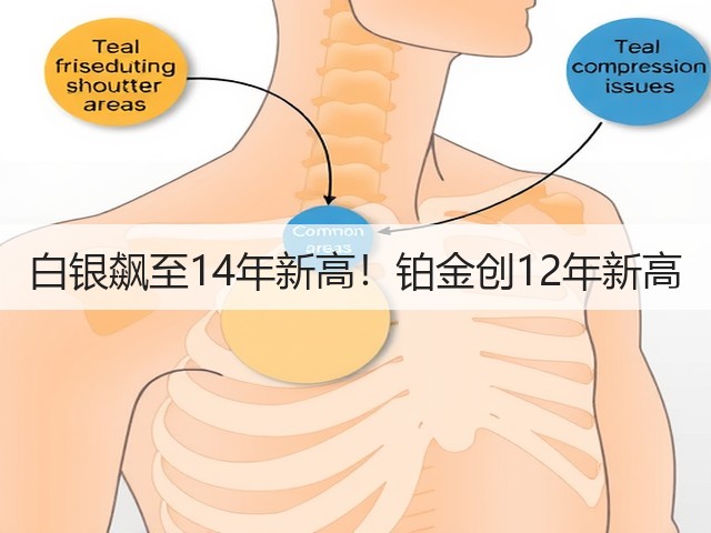 白银飙至14年新高!铂金创12年新高(图1) 白银飙至14年新高!铂金创12年新高(图1)
