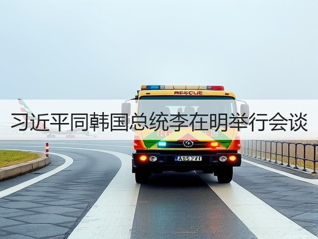 习近平同韩国总统李在明举行会谈(图2) 习近平同韩国总统李在明举行会谈(图2)