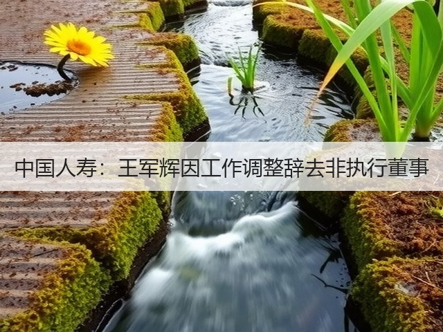 中国人寿:王军辉因工作调整辞去非执行董事(图1) 中国人寿:王军辉因工作调整辞去非执行董事(图1)