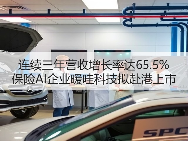 连续三年营收增长率达65.5% 保险AI企业暖哇科技拟赴港上市(图3) 连续三年营收增长率达65.5% 保险AI企业暖哇科技拟赴港上市(图3)