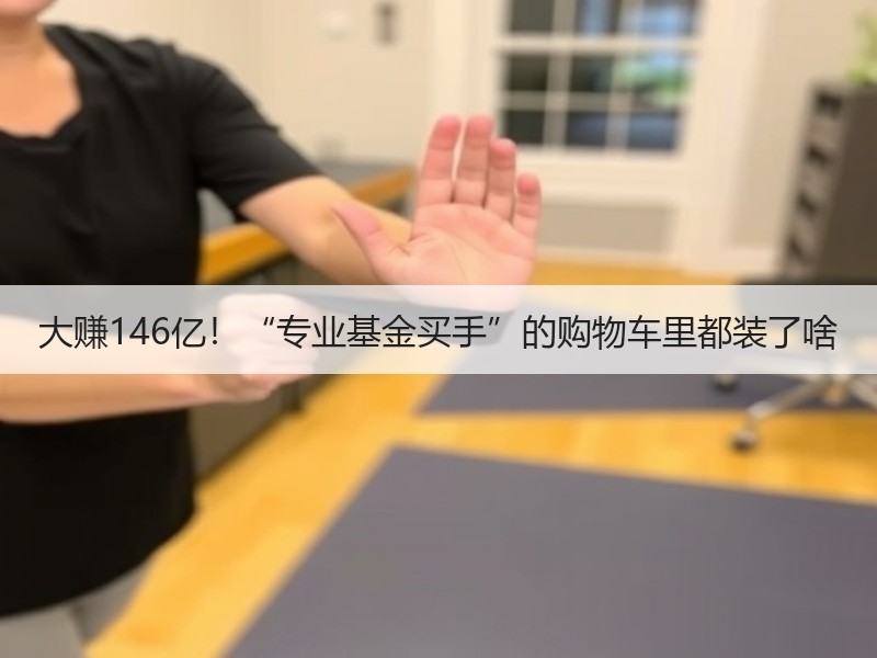 大赚146亿！“专业基金买手”的购物车里都装了啥