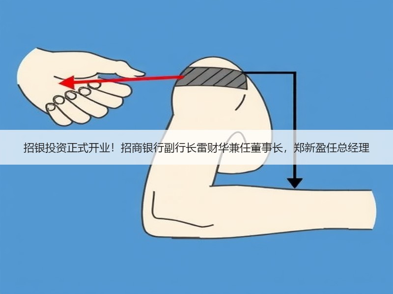 招银投资正式开业！招商银行副行长雷财华兼任董事长，郑新盈任总经理