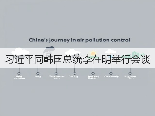 习近平同韩国总统李在明举行会谈(图3) 习近平同韩国总统李在明举行会谈(图3)