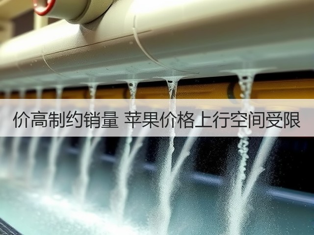 价高制约销量 苹果价格上行空间受限(图3) 价高制约销量 苹果价格上行空间受限(图3)