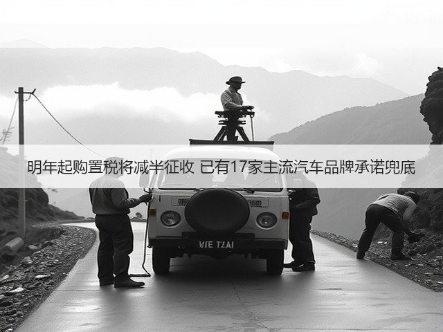 明年起购置税将减半征收 已有17家主流汽车品牌承诺兜底(图2)