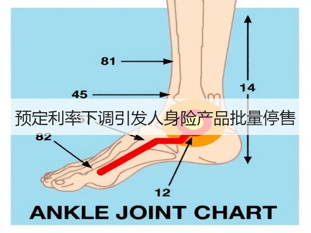 预定利率下调引发人身险产品批量停售(图3)