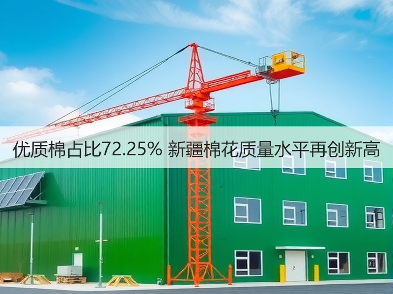 优质棉占比72.25% 新疆棉花质量水平再创新高