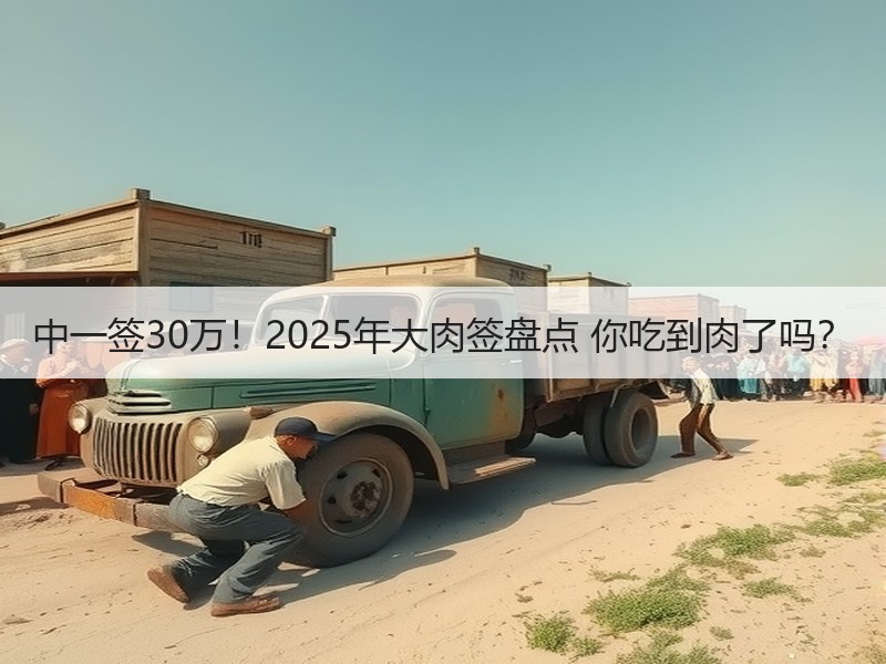 中一签30万！2025年大肉签盘点 你吃到肉了吗？