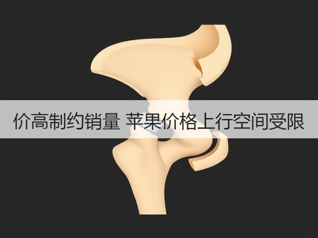 价高制约销量 苹果价格上行空间受限(图1) 价高制约销量 苹果价格上行空间受限(图1)