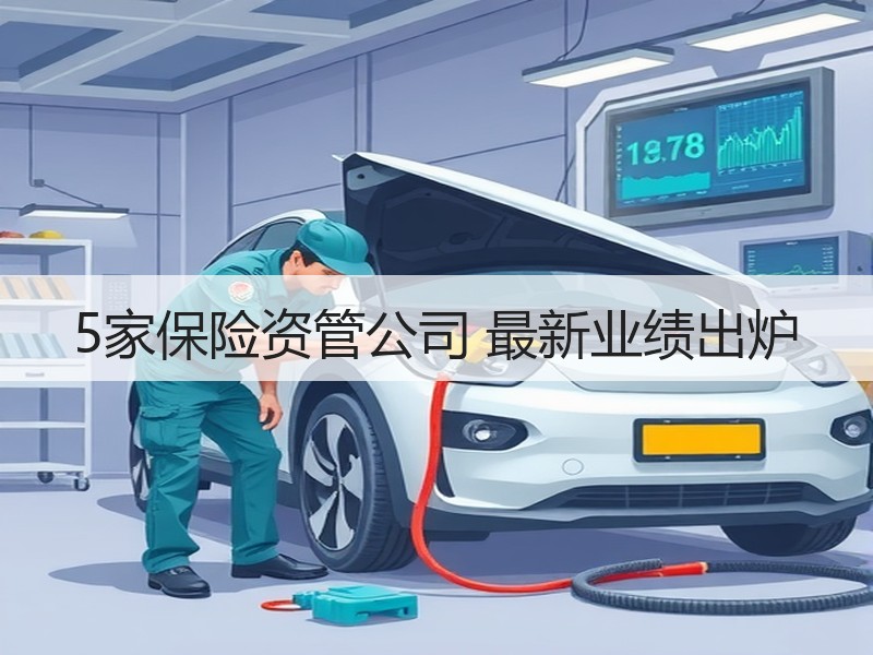 5家保险资管公司 最新业绩出炉