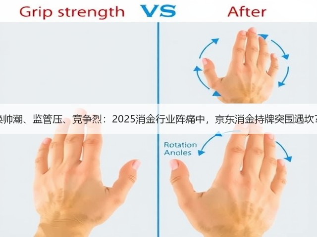 换帅潮、监管压、竞争烈:2025消金行业阵痛中,京东消金持牌突围遇坎?(图3) 换帅潮、监管压、竞争烈:2025消金行业阵痛中,京东消金持牌突围遇坎?(图3)