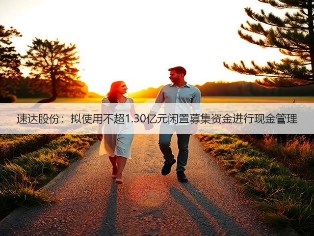 速达股份:拟使用不超1.30亿元闲置募集资金进行现金管理(图3) 速达股份:拟使用不超1.30亿元闲置募集资金进行现金管理(图3)