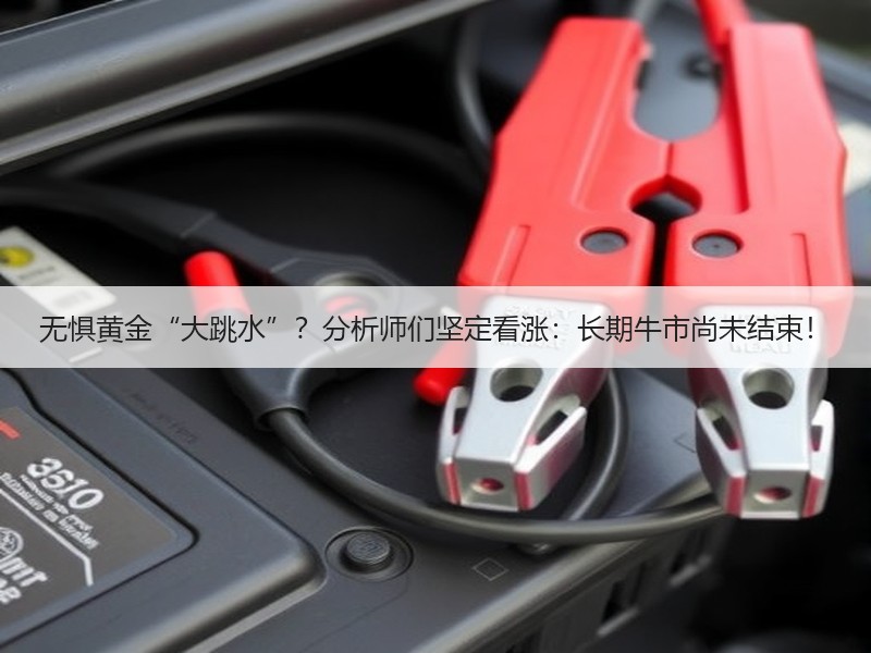 无惧黄金“大跳水”？分析师们坚定看涨：长期牛市尚未结束！