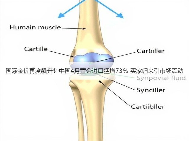 国际金价再度飙升!中国4月黄金进口猛增73% 买家归来引市场震动(图3) 国际金价再度飙升!中国4月黄金进口猛增73% 买家归来引市场震动(图3)