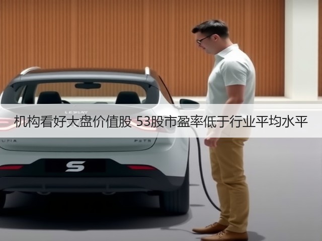 机构看好大盘价值股 53股市盈率低于行业平均水平(图1) 机构看好大盘价值股 53股市盈率低于行业平均水平(图1)