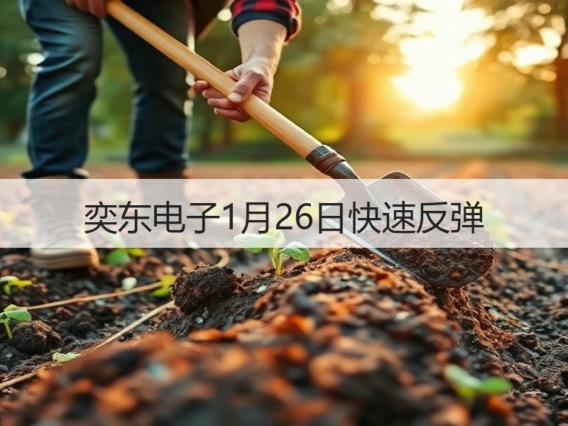 奕东电子1月26日快速反弹