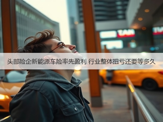 头部险企新能源车险率先盈利 行业整体扭亏还要等多久(图1)