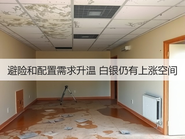 避险和配置需求升温 白银仍有上涨空间(图1) 避险和配置需求升温 白银仍有上涨空间(图1)