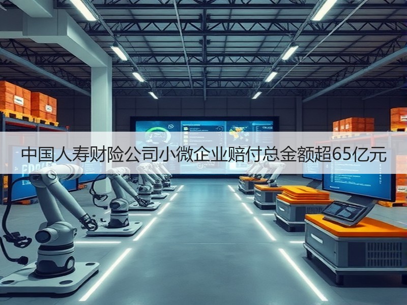 中国人寿财险公司小微企业赔付总金额超65亿元