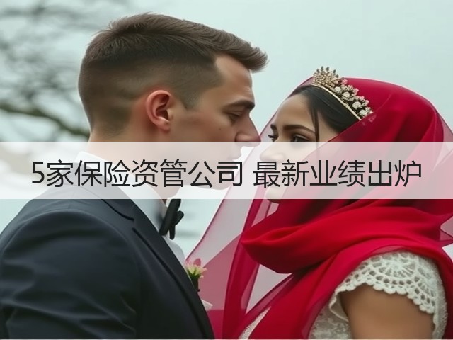 5家保险资管公司 最新业绩出炉(图3) 5家保险资管公司 最新业绩出炉(图3)