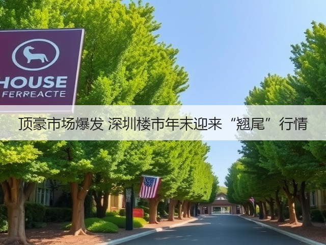 顶豪市场爆发 深圳楼市年末迎来“翘尾”行情(图3) 顶豪市场爆发 深圳楼市年末迎来“翘尾”行情(图3)