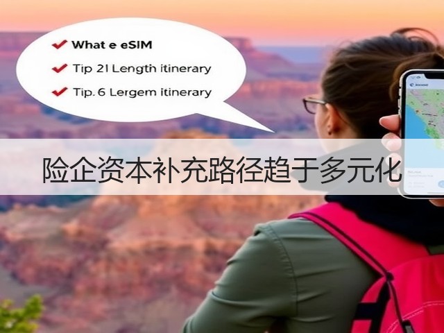 险企资本补充路径趋于多元化(图1)