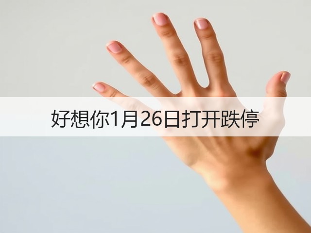 好想你1月26日打开跌停(图1)