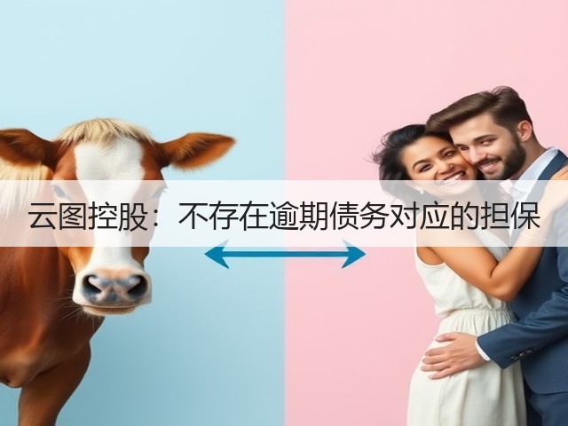 云图控股：不存在逾期债务对应的担保(图2)