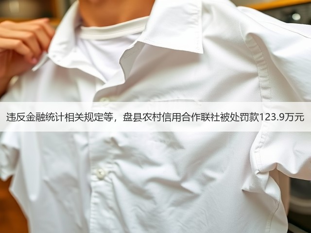 违反金融统计相关规定等，盘县农村信用合作联社被处罚款123.9万元(图1)