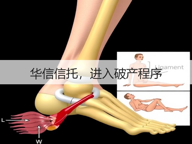 华信信托,进入破产程序(图1) 华信信托,进入破产程序(图1)