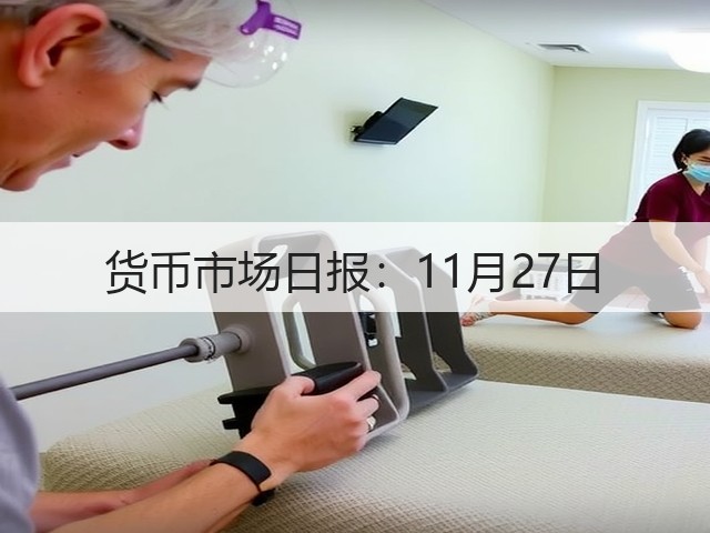 货币市场日报：11月27日(图3)