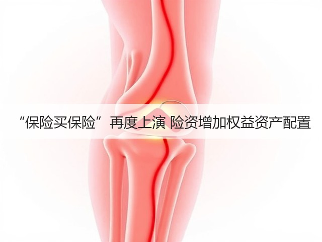 “保险买保险”再度上演 险资增加权益资产配置(图3) “保险买保险”再度上演 险资增加权益资产配置(图3)