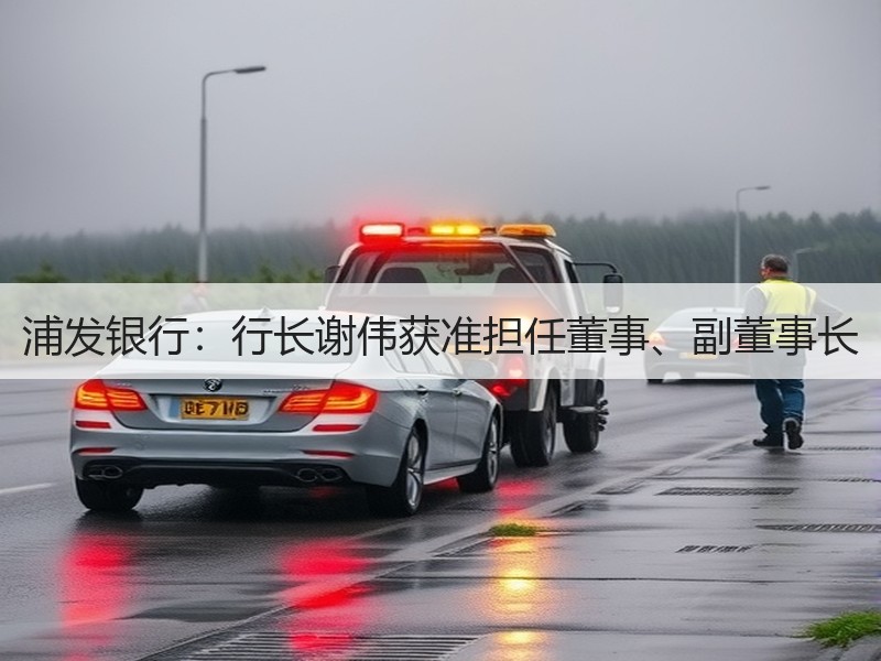 浦发银行：行长谢伟获准担任董事、副董事长