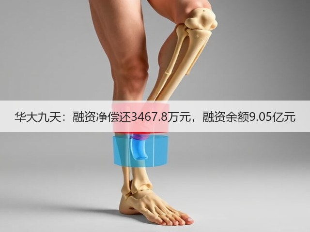 华大九天:融资净偿还3467.8万元,融资余额9.05亿元(图3) 华大九天:融资净偿还3467.8万元,融资余额9.05亿元(图3)