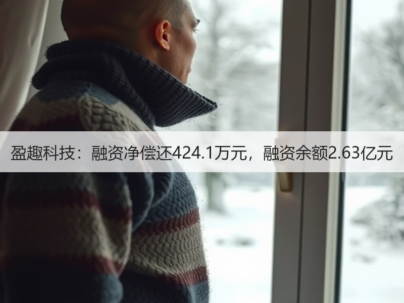 盈趣科技：融资净偿还424.1万元，融资余额2.63亿元