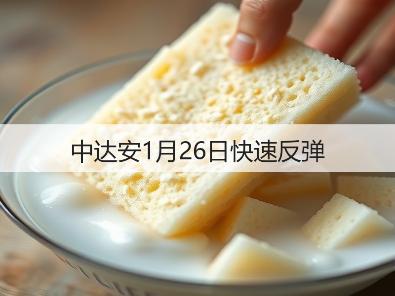 中达安1月26日快速反弹
