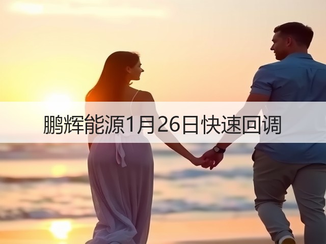 鹏辉能源1月26日快速回调(图3)