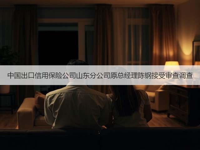 中国出口信用保险公司山东分公司原总经理陈钢接受审查调查(图3) 中国出口信用保险公司山东分公司原总经理陈钢接受审查调查(图3)