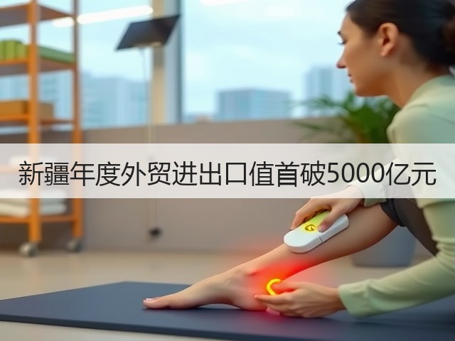 新疆年度外贸进出口值首破5000亿元(图2) 新疆年度外贸进出口值首破5000亿元(图2)