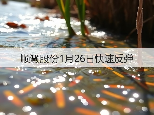 顺灏股份1月26日快速反弹(图1) 顺灏股份1月26日快速反弹(图1)
