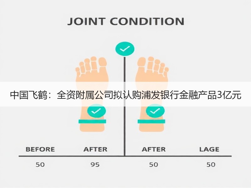 中国飞鹤：全资附属公司拟认购浦发银行金融产品3亿元