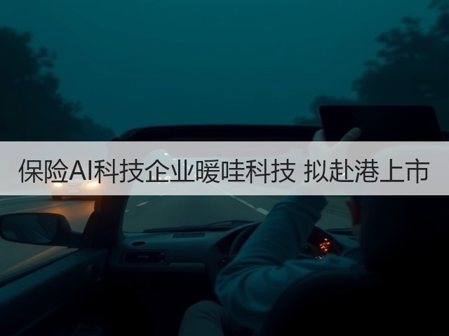 保险AI科技企业暖哇科技 拟赴港上市(图1)