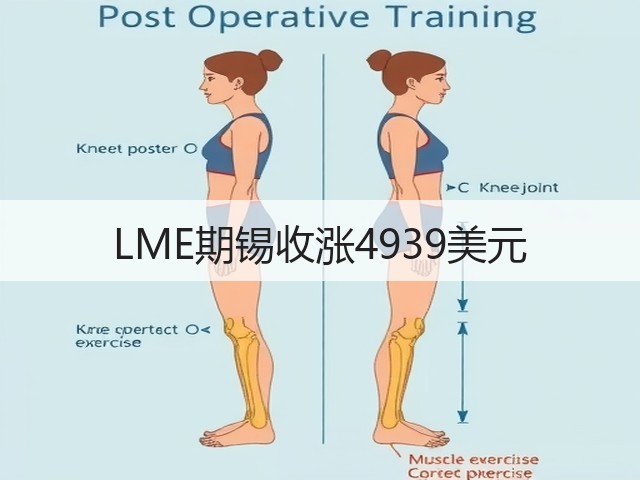 LME期锡收涨4939美元(图1) LME期锡收涨4939美元(图1)