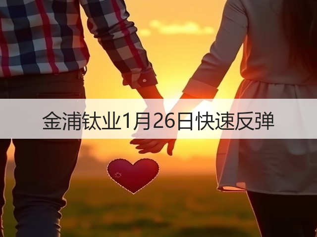 金浦钛业1月26日快速反弹(图2) 金浦钛业1月26日快速反弹(图2)