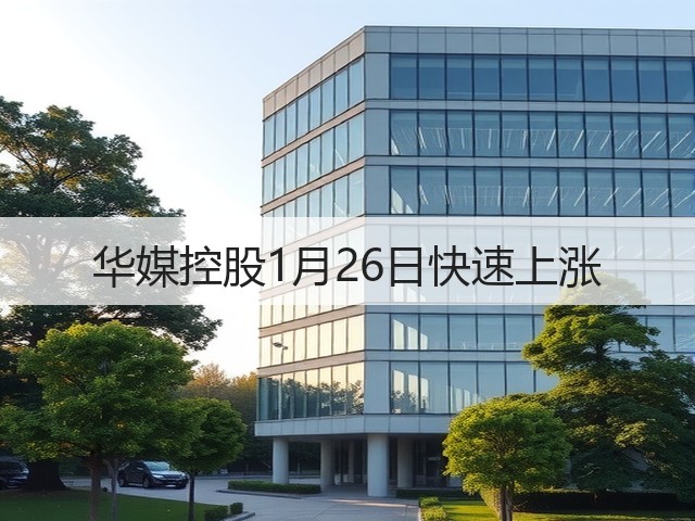 华媒控股1月26日快速上涨(图3) 华媒控股1月26日快速上涨(图3)
