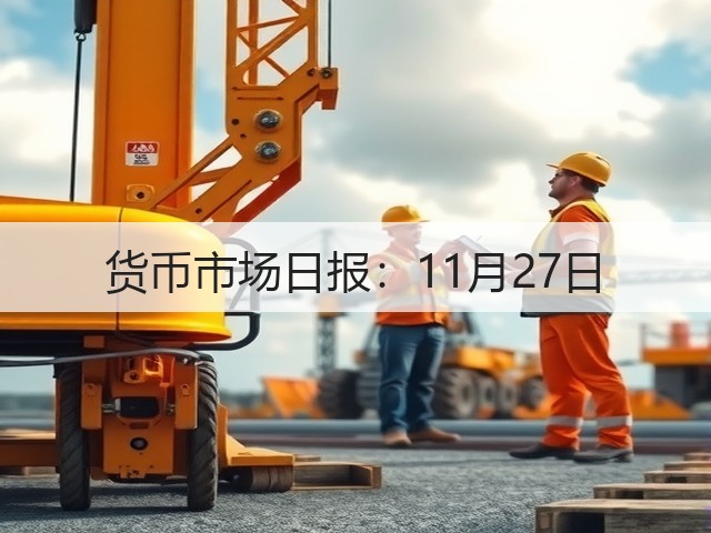 货币市场日报：11月27日(图2)