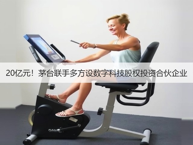 20亿元!茅台联手多方设数字科技股权投资合伙企业(图3) 20亿元!茅台联手多方设数字科技股权投资合伙企业(图3)